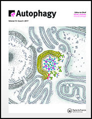 Autophagy cover